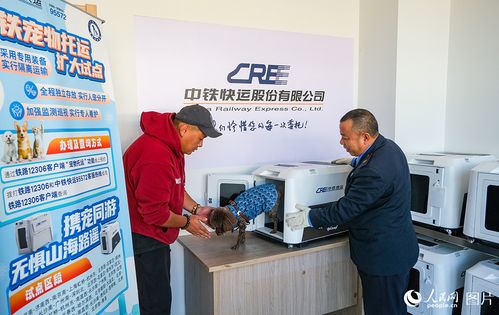 乘高鐵攜寵享樂游 禮儀服務(wù)指南